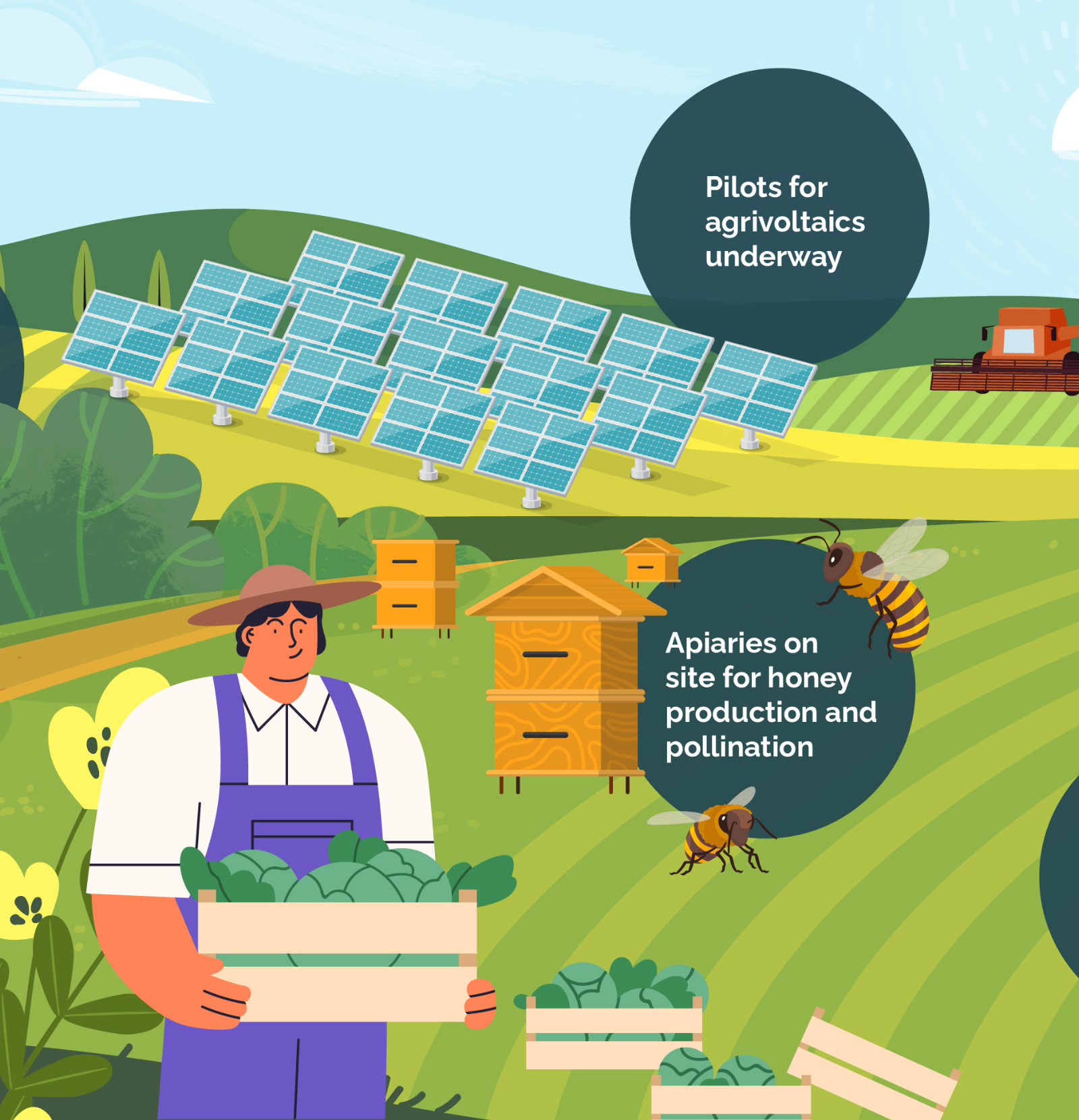 Next Energy Solar Fund