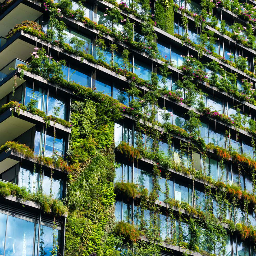 World Green Building Council